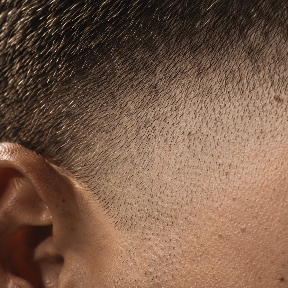 Macro photograph of a fade gradient showing hair running from dense down to skin.